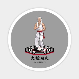 Tai Chi Kung Fu Magnet